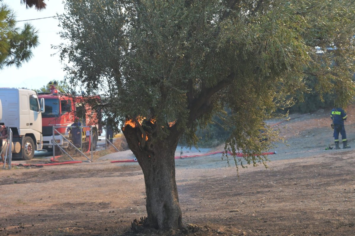 elenasagiadinou's tweet photo. ‼️Άμεση ήταν η κινητοποίηση των Αρχών για τη φωτιά που εκδηλώθηκε το βράδυ της Τρίτης (25/8) στο Αιγάλεω, με τις έρευνες να οδηγούν στη σύλληψη ενός άνδρα, υπήκοο Πακιστάν για εμπρησμό από πρόθεση. Σύμφωνα με την Πυροσβεστική, ο συλληφθείς φέρεται να προκάλεσε τρεις ανεξάρτητες εστίες πυρκαγιάς σε ξηρά χόρτα, στη συμβολή της λεωφόρου Κηφισού με τη λεωφόρο Αθηνών, χρησιμοποιώντας αναπτήρα.
https://t.co/ue0L207RA1