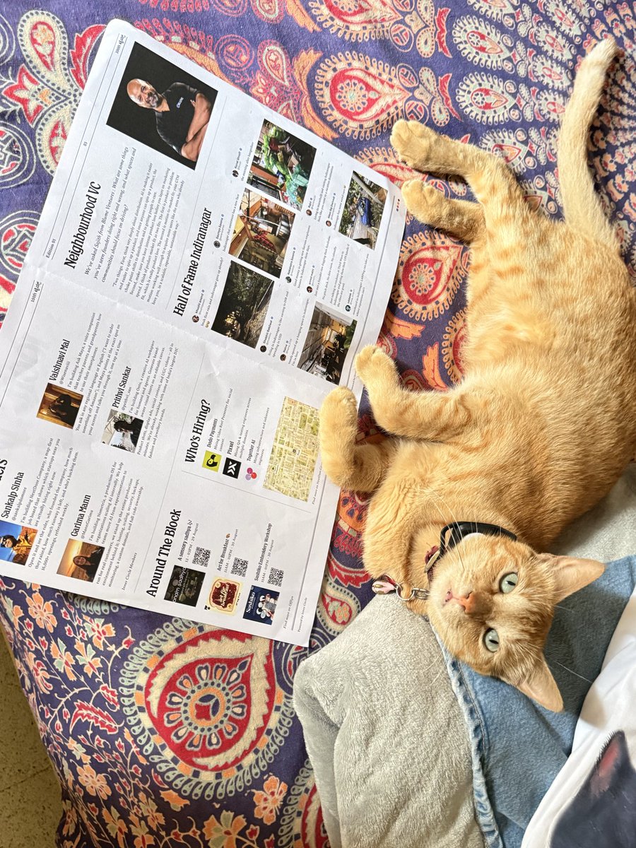sur_singla's tweet photo. petition to cover cats of indiranagar https://t.co/8BrQeyGZT7