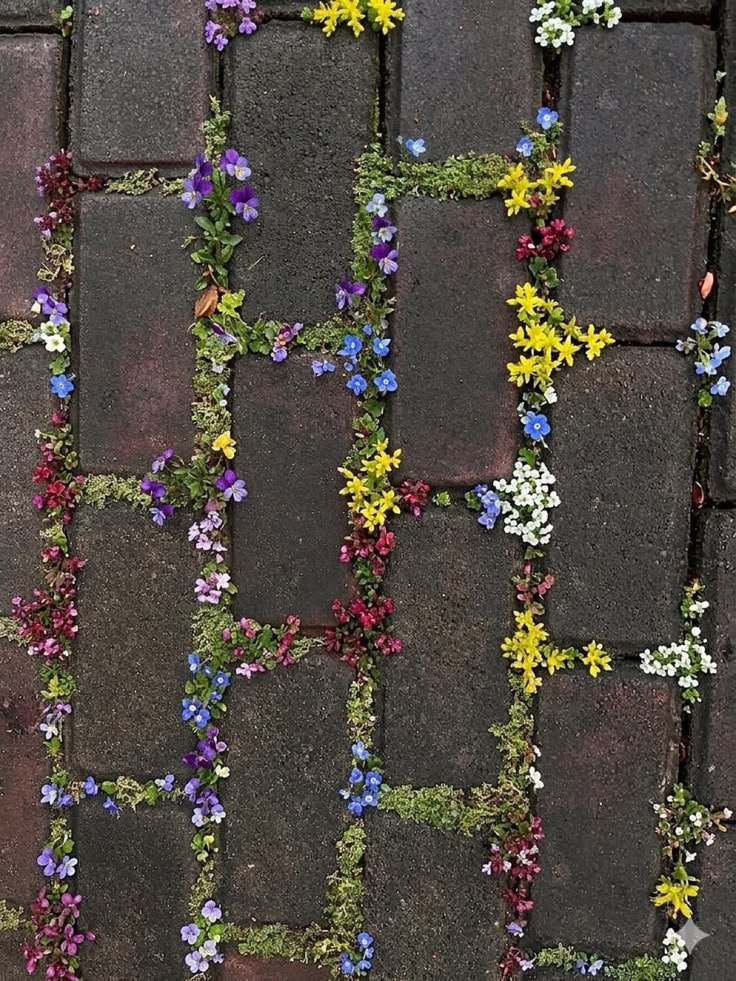 FLOWERS3700's tweet photo. https://t.co/jVcwBKQJL0