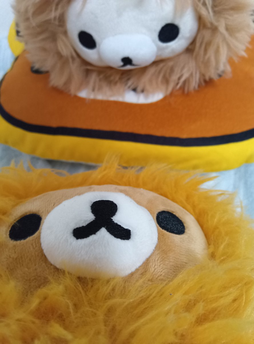 okane_nainen's tweet photo. 🦁🐻)🧐🤯〜🤯🦁🐻‍❄️
自分そっくりなコリちゃんにびっくり😂 https://t.co/4HejhLz68w