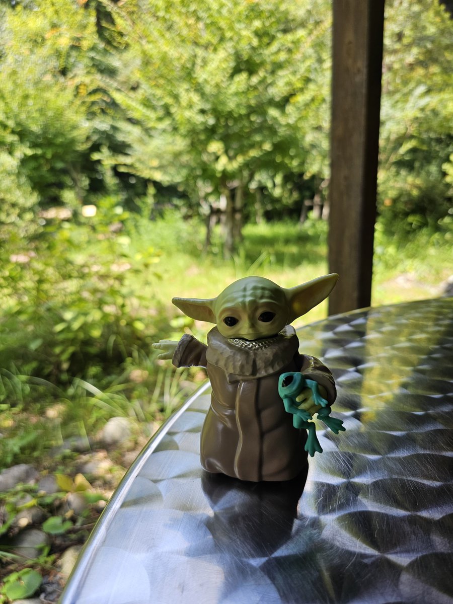 Grogutrip's tweet photo. 森林浴

#Grogu 
#BabyYoda
#WhereIsGrogu
#グローグーがいる生活
#旅するグローグー🇯🇵 https://t.co/kCJvZ9icI8