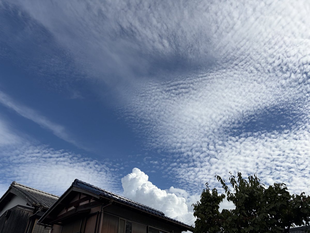 hakochanjp's tweet photo. うろこ雲と入道雲… https://t.co/XFrfnPmgGH