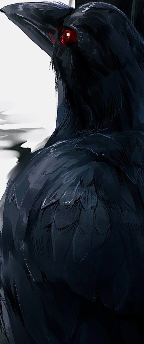 caru_sbc's tweet photo. 🐦‍⬛😈🖤 https://t.co/FUwEVvDfVd
