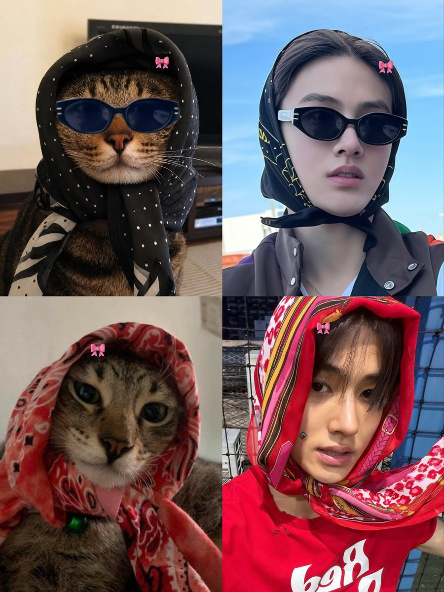 nshk_o9's tweet photo. ≽^• ˕ • ྀི≼🤲🏻 https://t.co/HWRM18ORvD