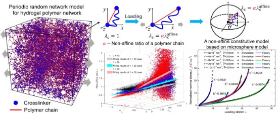 CSTAMAMS's tweet photo. A non-affine constitutive model for the extremely large deformation of hydrogel polymer network based on network modeling method
📄Read the full paper in AMS: https://t.co/jxzGHBO6Rg
#Non-affine deformation #Periodic random network model #Large deformation https://t.co/Rw6jGy6FJ9