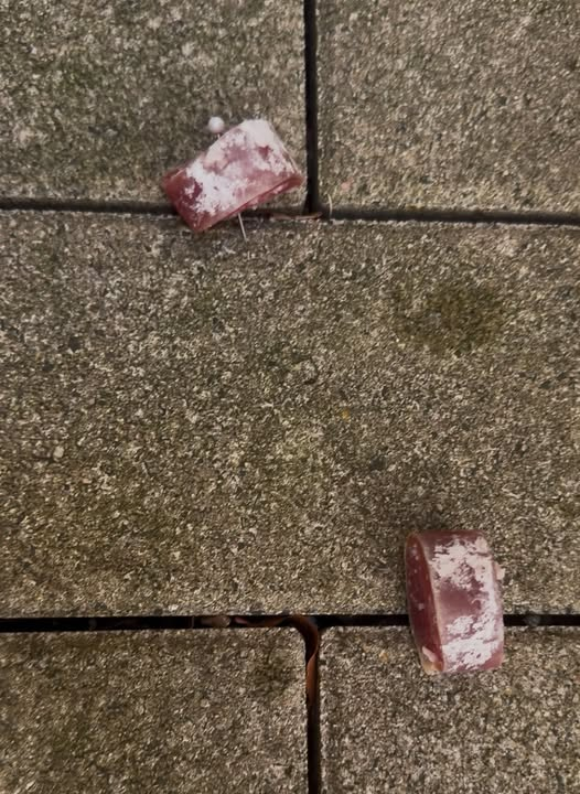 yolandaschultes's tweet photo. Dortmund · Wickede · Wickeder Straße · 44319
Köder mit Nadeln gefunden
Kopie:
ACHTUNG AN ALLE HUNDEHALTER IN WICKEDE!
Bitte passt aktuell extrem gut auf eure Vierbeiner auf! Ich habe heute auf der Wickeder Straße (Höhe Hausnummer 16 bis 24) Präparierte Köder gefunden – mit Nägeln gespickt! Ob zusätzlich auch noch Gift im Spiel ist, lässt sich derzeit nicht ausschließen.
Die Polizei wurde von mir direkt informiert und es wurde offiziell Anzeige gegen Unbekannt erstattet.
Es ist leider nicht das erste Mal, dass bei uns so etwas passiert, und wir wissen alle, dass sich hier leider ein paar Hundehasser herumtreiben.
Achtet bitte alle ganz genau darauf, was eure Hunde am Boden aufnehmen oder beschnüffeln, und haltet sie in diesem Bereich am besten kurz an der Leine.
Bitte TEILEN, damit möglichst viele Halter aus der Umgebung gewarnt werden!