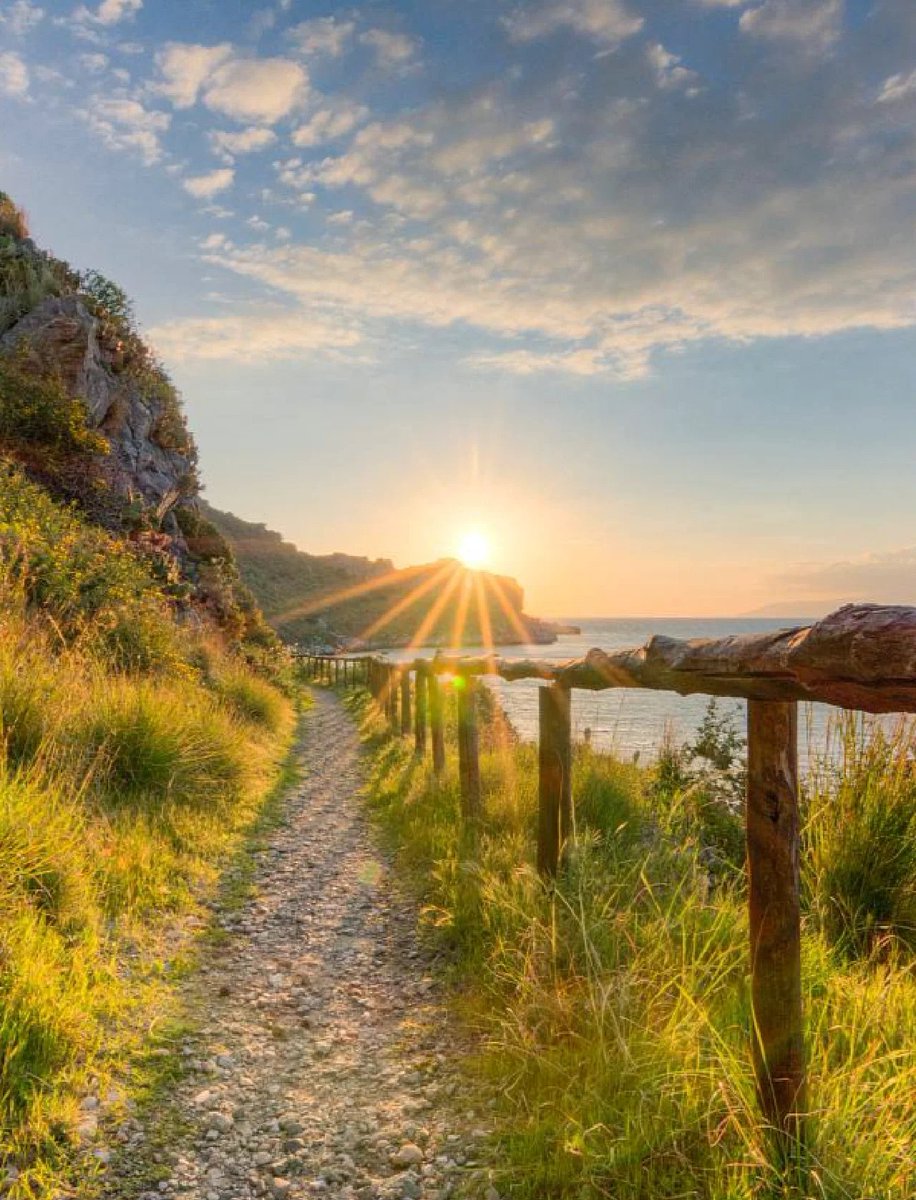 miranda_jaz's tweet photo. Just hiked up the misty coastal trail at sunrise—fresh sea air, golden waves, and the quiet hum of birds make this tiny hidden cove my new favorite escape. Can’t stop smiling! https://t.co/wnaTLKjWQ2