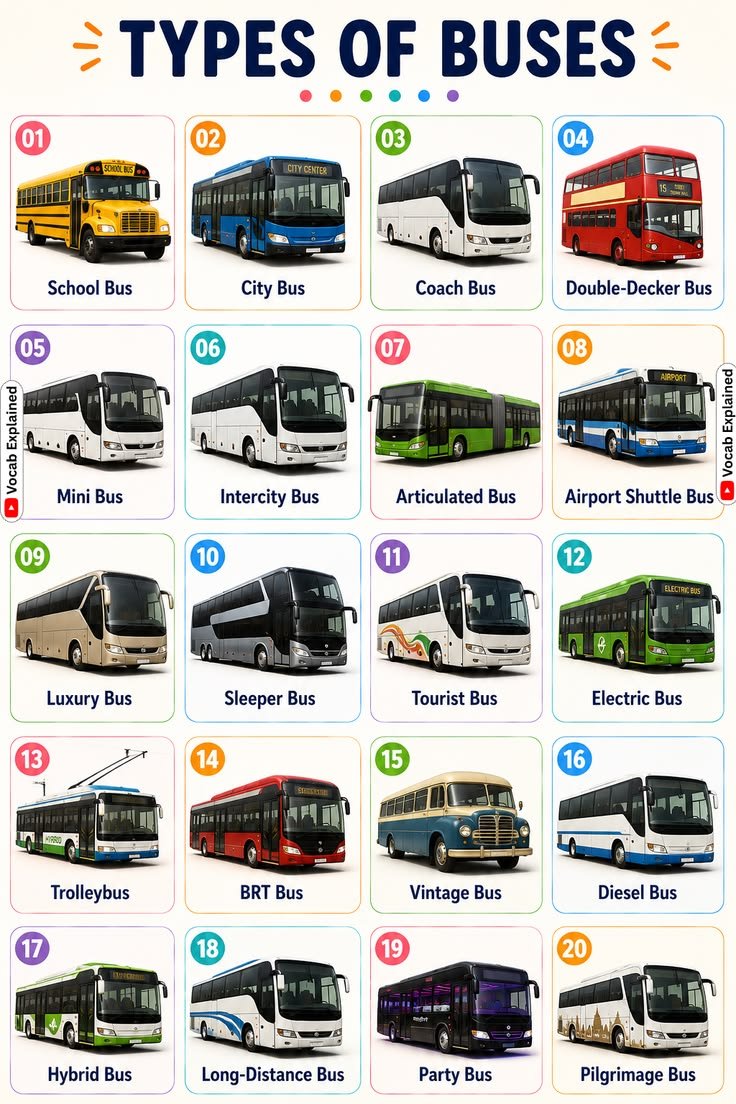 dp0stss2's tweet photo. TYPES OF BUSES https://t.co/PfhVtADogR