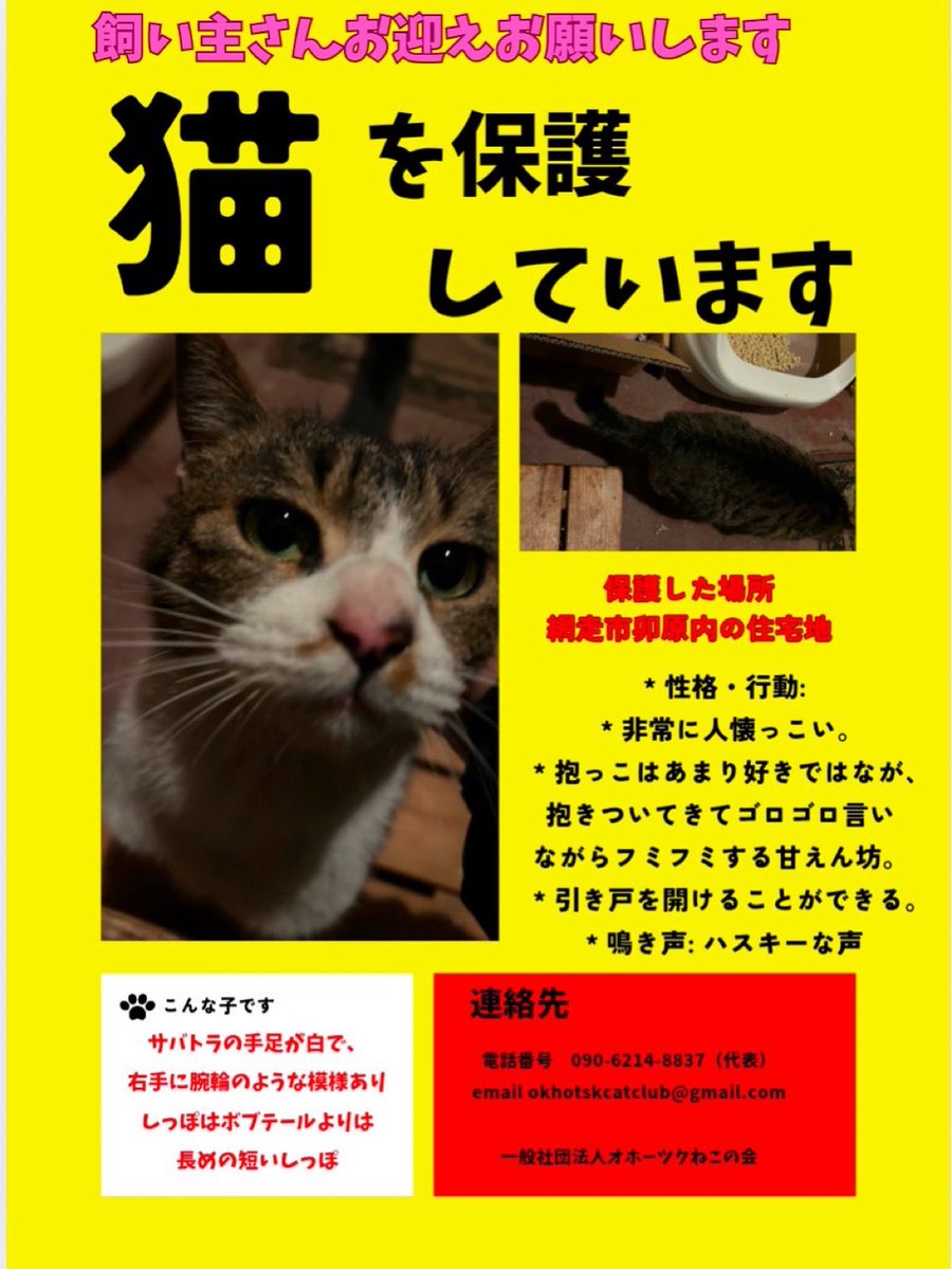 nQB2jmNzDJ4220's tweet photo. #北海道
#網走 #卯原内の皆さん！ 
保護された場所は  
コミセンのある川沿いの住宅街  です。 
見たことがある
エサをあげていたなどどんな情報でも構いません。 
連絡下さい！ https://t.co/KYmJTae3fN