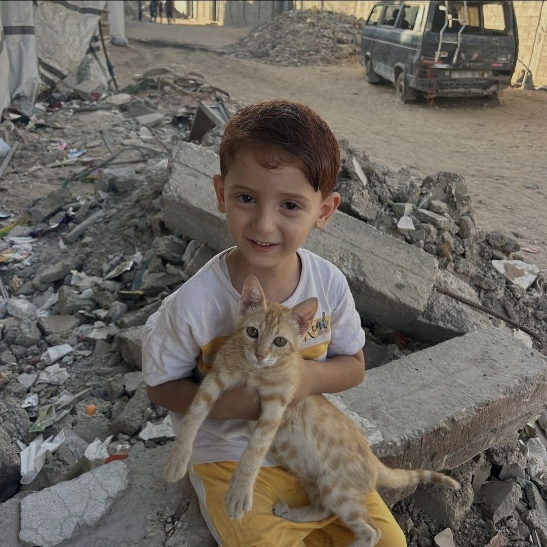 EmreeTsnn_'s tweet photo. Gazze'de kedi dostuyla poz veren bir çocuk... https://t.co/Pmc1jGsBHC