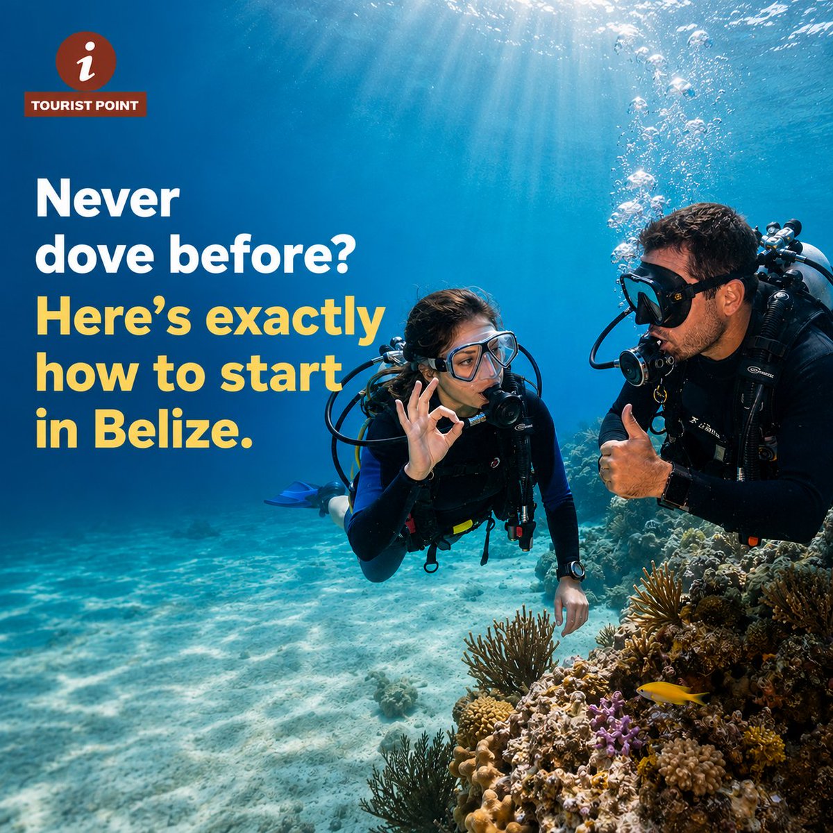 tourist_points's tweet photo. Never dived outside a pool? 🤿 No worries! Discover what to expect from your first Belize dive—from certification levels to Discover Scuba sessions and choosing the right dive site. Not sure where to start? Message us! 🌊https://t.co/94c8chVgej

#DiveBelize #ScubaDivingBelize https://t.co/3OnoPJHDeX