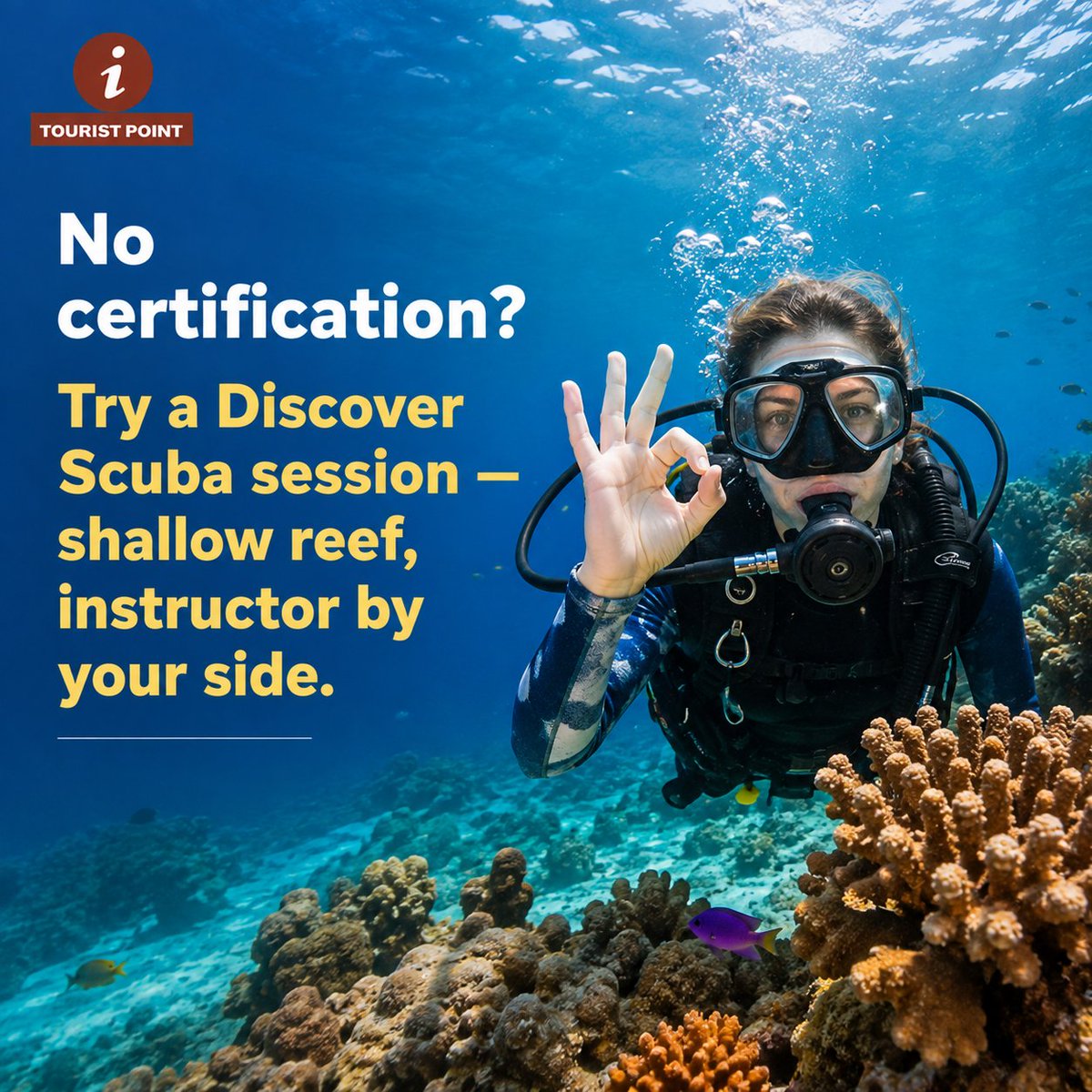 tourist_points's tweet photo. Never dived outside a pool? 🤿 No worries! Discover what to expect from your first Belize dive—from certification levels to Discover Scuba sessions and choosing the right dive site. Not sure where to start? Message us! 🌊https://t.co/94c8chVgej

#DiveBelize #ScubaDivingBelize https://t.co/3OnoPJHDeX