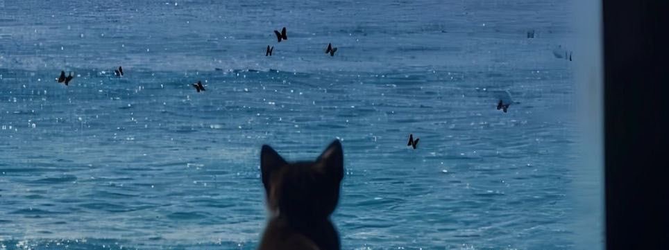 rodyasair's tweet photo. ‘yenilgiler bir tûfân gibi çöktü üstüme.’ https://t.co/3aaN1NbBrv