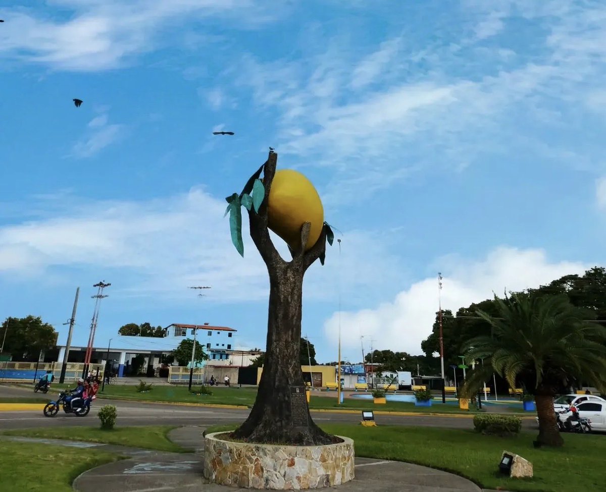 Raaibelis's tweet photo. Alabado sea el mango 🙌🏻 https://t.co/aRhTNE2E5m