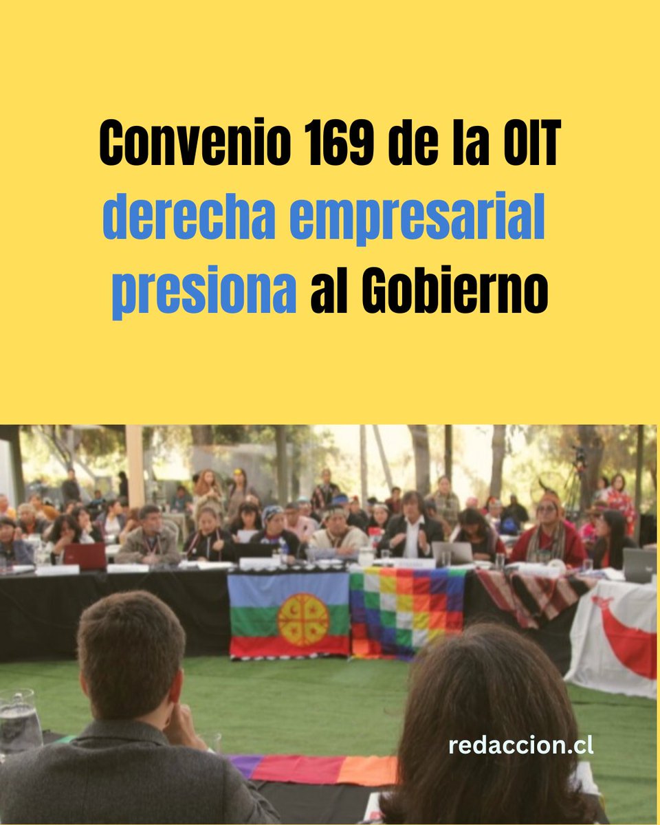 redaccionchile's tweet photo. 📌 Convenio 169 de la OIT: la presión de la derecha empresarial sobre el Gobierno

📲 Síguenos en https://t.co/3sutplaG5f y lee 👇
https://t.co/G3yKGhSCm2 https://t.co/hsh79UcVti