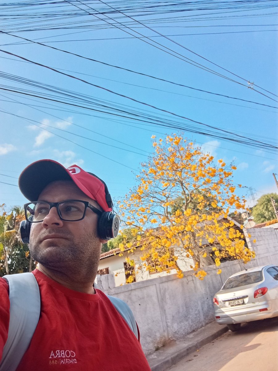 galegodomel's tweet photo. #ipêamarelo #atibaia #primavera #mariobros #latinboy https://t.co/a4nt3BrPUo