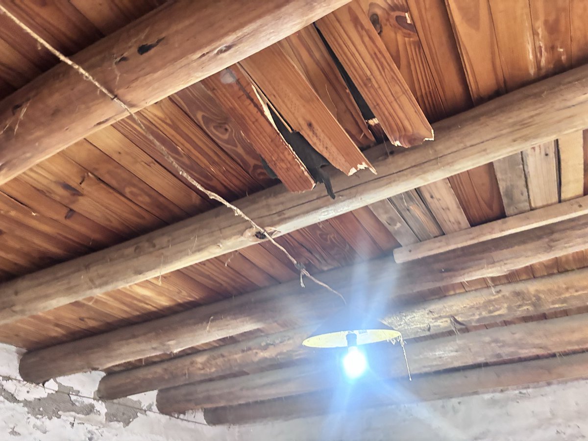 MATIPASCUALETTI's tweet photo. ATENCIÓN 🚨🚨🚨
Una rama cayó sobre  la casa de Florinda (89) y le rompió el techo de su habitación. Los árboles están en la casa de una vecina y están totalmente secos. Sucedió en José Maria Videla 1087 de Las Heras. Personal del municipio está relevando la situación @radionihuil