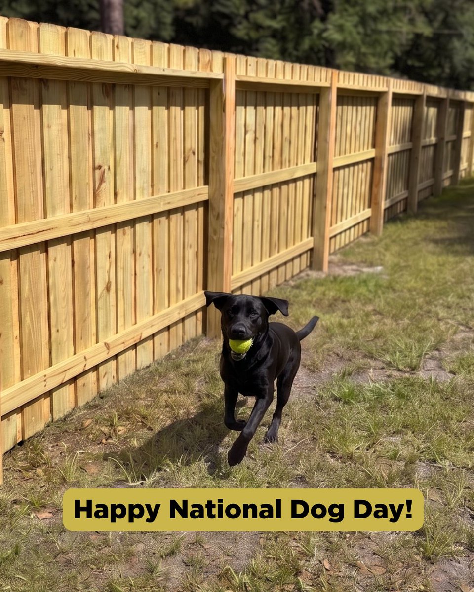 ForteraFencing's tweet photo. Happy National Dog Day to every furry, four-legged property supervisor in Northeast Florida. 🐾

Every dog deserves a yard they can run in and a fence that keeps them safely in it. 

Get your free estimate today. https://t.co/SBDwnSliq0