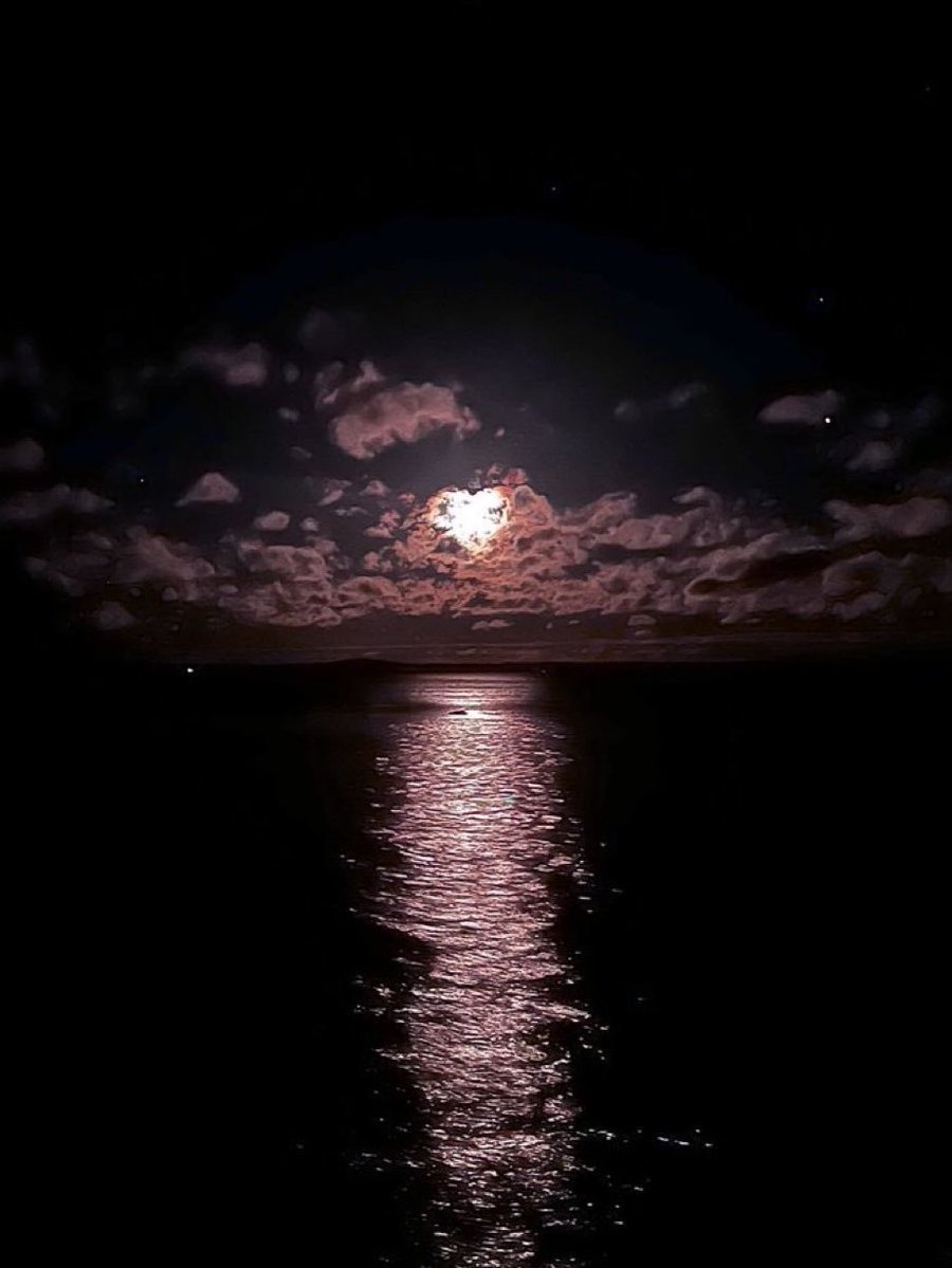 Moon4pics's tweet photo. https://t.co/dN86xxxudI