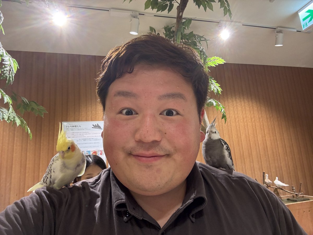 DAXYAMA's tweet photo. 俺には動物成分の癒しが足りなかったらしい
同僚と一緒に小動物カフェに行ってきました
凄く精神的に癒された〜 https://t.co/lktWyupBpL