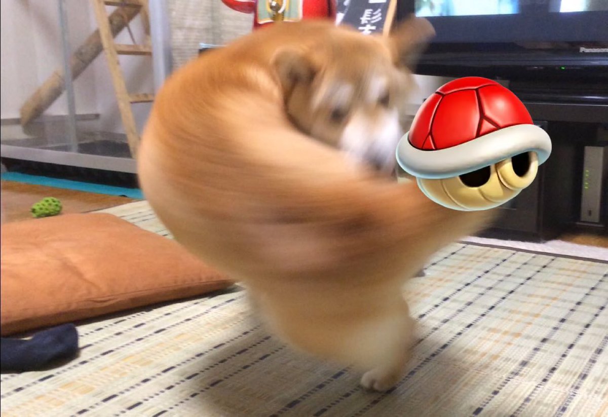kurone_6262's tweet photo. 久々にDSのマリカーしてたら赤甲羅の軌道がこれで鬱 https://t.co/5kIyvvvHBQ