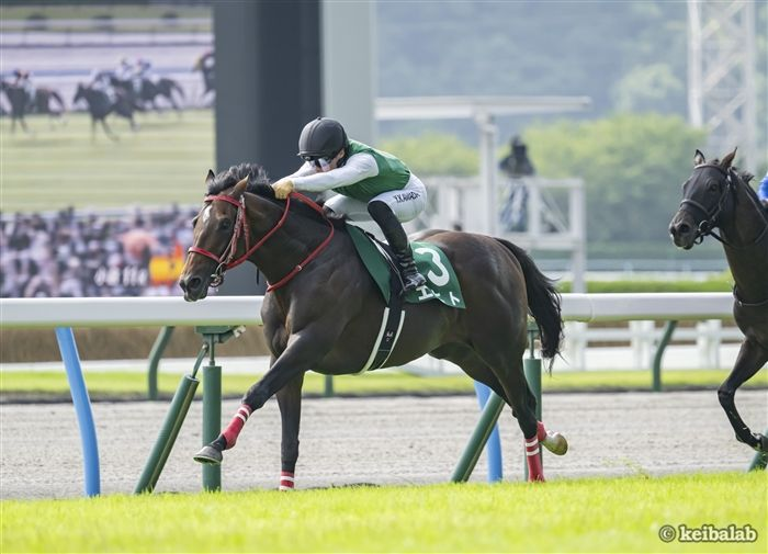 keibalab's tweet photo. 【ありがとうエヒト】
エヒト
Echt
(牡9、栗東・森秀行厩舎)
父ルーラーシップ
母ヒーラ
母父ディープインパクト
#エヒト #引退
https://t.co/P33nvl2zki https://t.co/MVOpKUClMg