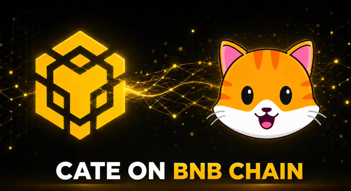 cryptodialz's tweet photo. Why  Binance may list the original $CATE on BNB Chain?

• Reward long-term builders not cross-chain copycats
• Binance may NOT support a Pumpfun token created by copying an established BNB Chain asset.
• $CATE Built Rise of Cats and LudoWin on opBNB
• Cate Supported #BNBChain through every market cycle

Crypto needs standards. Listing $CATE ON BNB  would show that genuine builders matter.