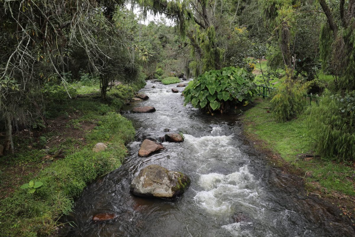 Alfred_Balle's tweet photo. En la @Car_cundi  impulsamos que cada hogar conozca su huella hídrica.

12.000 litros de agua es una huella hídrica que puede dejar un hogar de cuatro personas al mes, con actividades cotidianas como ducharse, lavar ropa o hacer aseo. Un costo que casi nunca dimensionamos, pero que impacta mes a mes nuestras fuentes hídricas.

Por esto, seguimos con nuestro compromiso claro con el recurso hídrico e invitamos a cada familia de Cundinamarca a sumarse al ahorro, la reutilización y el uso eficiente del agua.                                                            
Porque el cuidado del agua es compromiso de todos.

#LaCARactúa