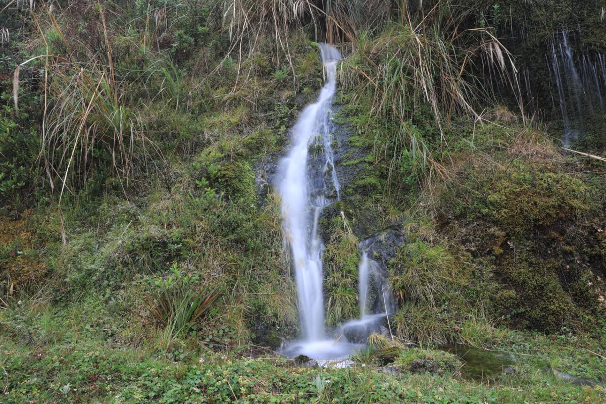 Alfred_Balle's tweet photo. En la @Car_cundi  impulsamos que cada hogar conozca su huella hídrica.

12.000 litros de agua es una huella hídrica que puede dejar un hogar de cuatro personas al mes, con actividades cotidianas como ducharse, lavar ropa o hacer aseo. Un costo que casi nunca dimensionamos, pero que impacta mes a mes nuestras fuentes hídricas.

Por esto, seguimos con nuestro compromiso claro con el recurso hídrico e invitamos a cada familia de Cundinamarca a sumarse al ahorro, la reutilización y el uso eficiente del agua.                                                            
Porque el cuidado del agua es compromiso de todos.

#LaCARactúa