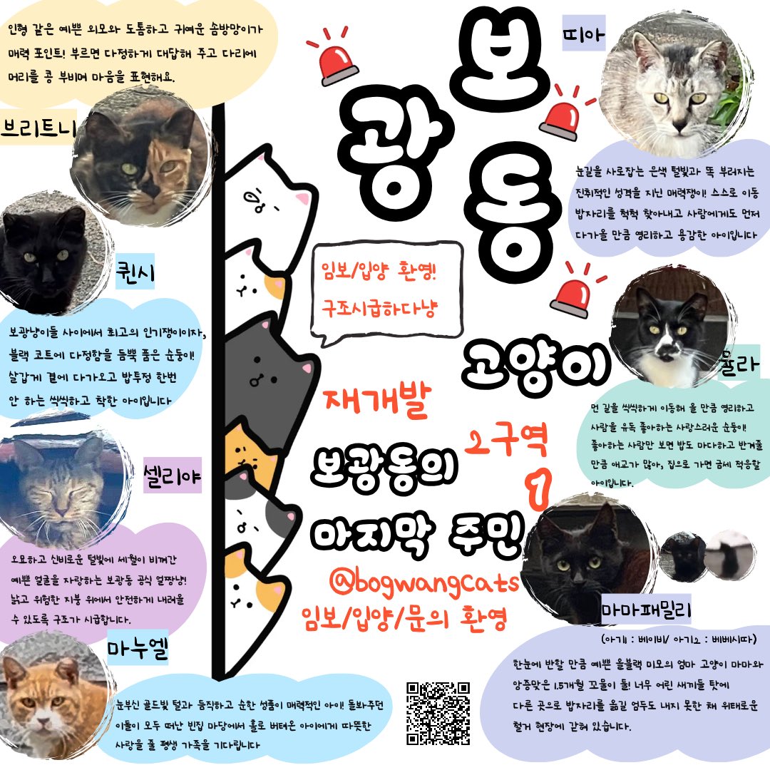 sosweet_hosu's tweet photo. <(RT공유부탁) 보광동 마지막 주민, 보광동 재개발 고양이 임보/입양 홍보>

위 포스터에 있는 보광동 고양이들은 임보/입양처를 구하지 못해 아직도 위험한 한남 2구역 보광동에 남아있는 고양이들입니다. 8월 말인 현재, 이미 많은 골목들이 펜스가 쳐짐에 따라 구조기한 자체가 얼마 남지 않은 https://t.co/gkCmiOJUPc