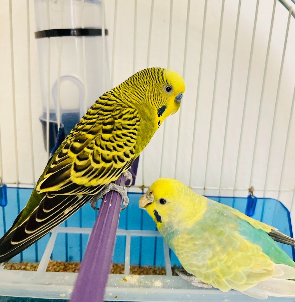 Samara2425s's tweet photo. ولكن الإنسان بطبيعته ينحازُ للمكان الذي تألفُه روحه 
مهما 
كانت فُرص الحياة 
كثيرة 🤍 https://t.co/3MKnxDBWT9