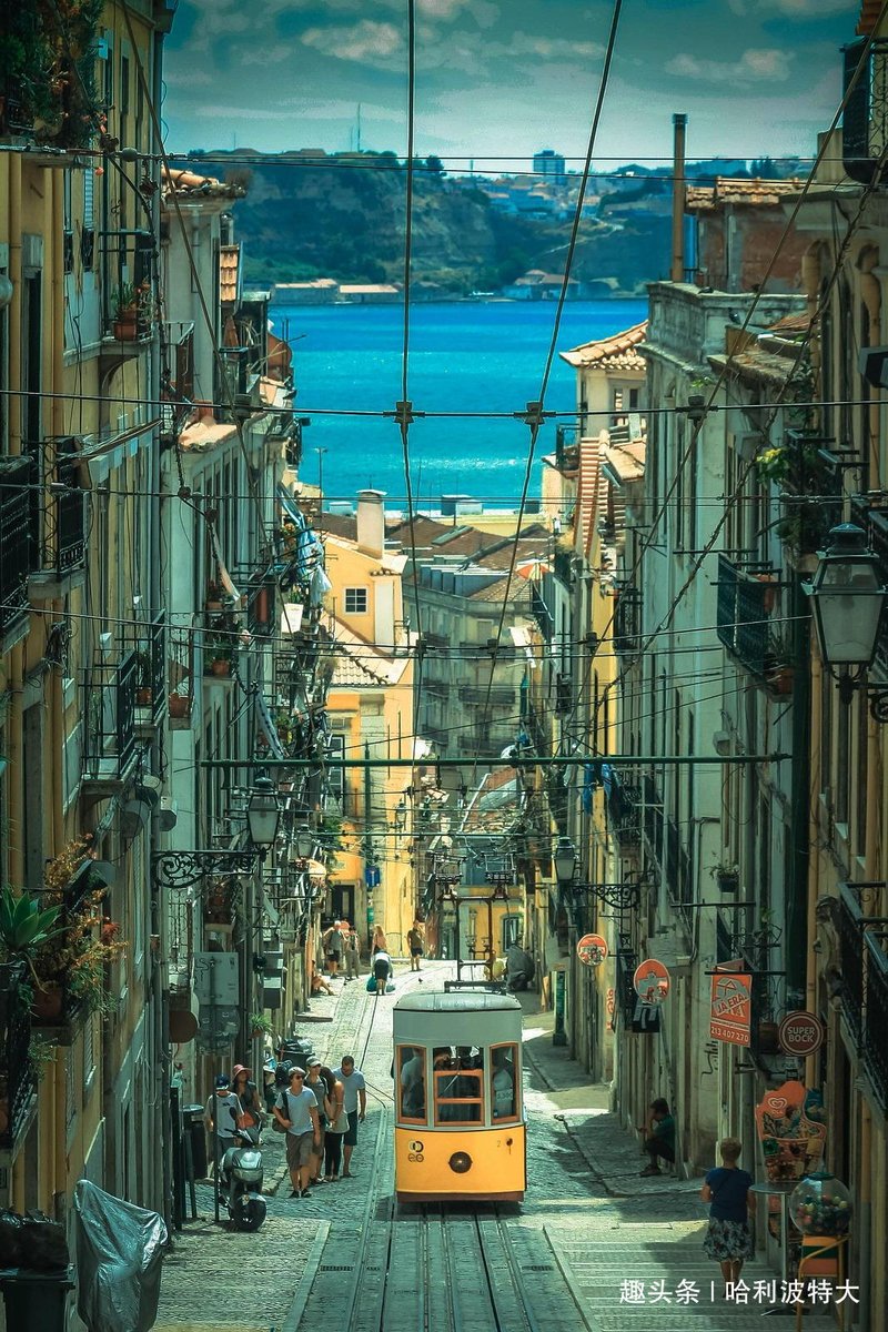 anikc743951's tweet photo. Exploring hidden seaside alleys in Lisbon—coffee steam mixing with salt air, and the perfect sunset painting the cobblestones gold. https://t.co/xwLkgEo1a8
