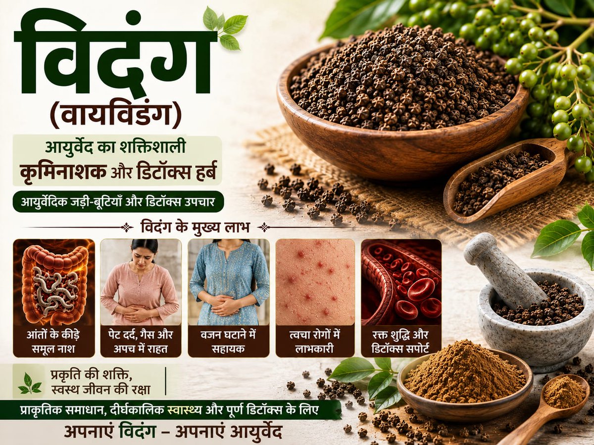 AzaadBharatOrg's tweet photo. आयुर्वेद का परम कृमिघ्न रसायन 'विदंग' (वायविडंग) केवल एक काला बीज नहीं, बल्कि हमारे पाचन तंत्र से लेकर रक्त की अशुद्धियों तक को समूल साफ करने वाला प्रकृति का साक्षात् दिव्य वरदान है। पूरी VidangaBenefits https://t.co/NxRJ5hxtr6

#VidangaBenefits #विदंग_के_फायदे https://t.co/moBUK2IilK
