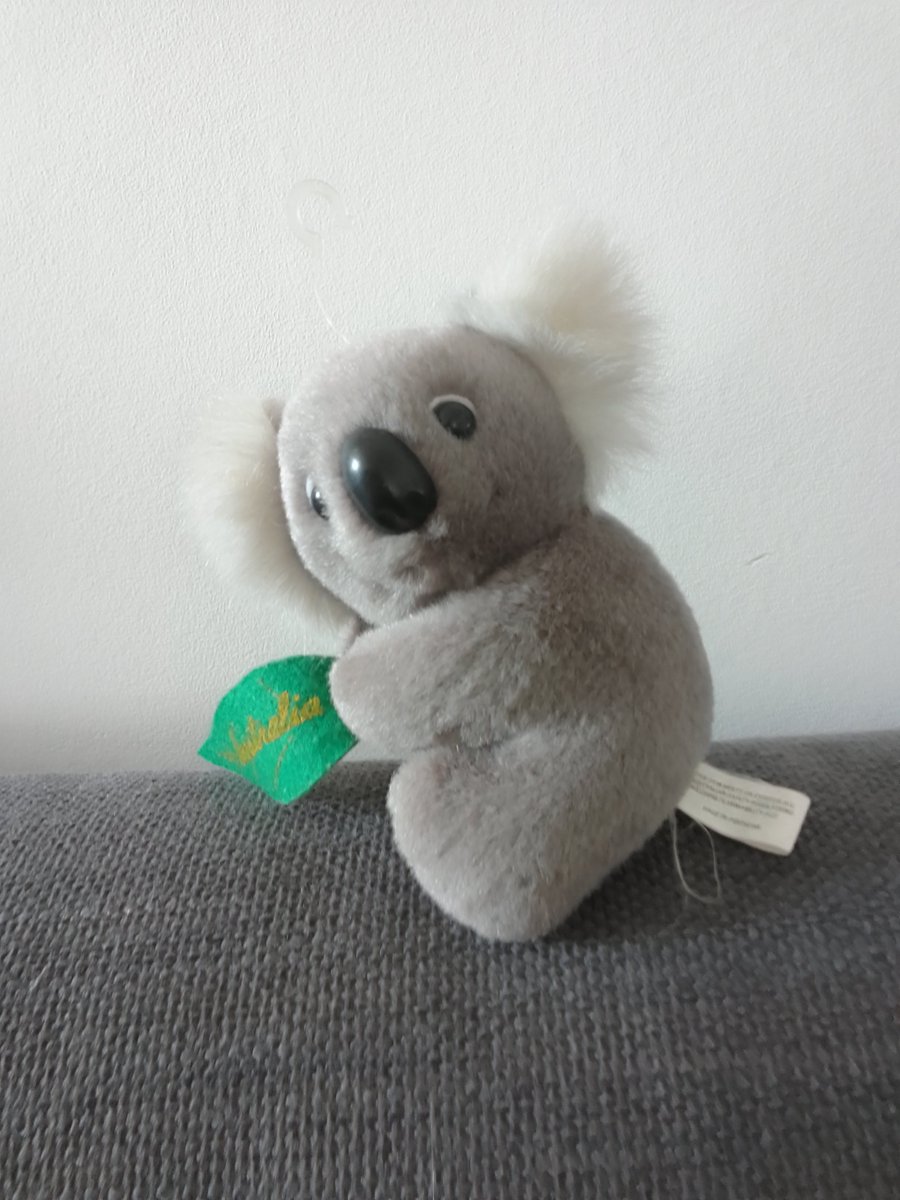 CricketNut2005's tweet photo. @keepfits Skip skip from syd 🐨🤍🩶🐾🐾 for #keepfits 🧸🤎🤍🐾🐾👍👍 https://t.co/Wf4qwixppz