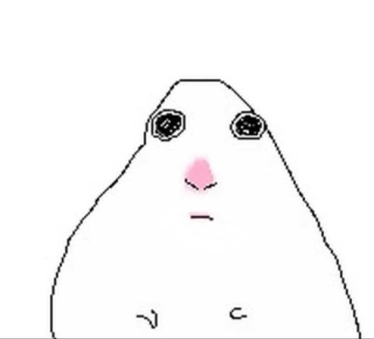 shzhvlvl's tweet photo. https://t.co/OcUTbZ6r7u