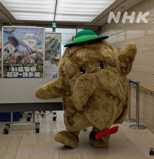 nhk_darwin's tweet photo. ※注意【ゴン太くん ではない】

なんと！我らが #ヒゲじい が
明日8／27（木） #いきもの超ワールド展 に現れるとの情報！
時間は14:00～14:15 のみ　場所は特別展展示室内 第二会場前

キミも国立科学博物館でヒゲじいと握手！
このヒゲじいと会えるのは超激レアですぞ～
#ダーウィンが来た https://t.co/7zot4uEV4r