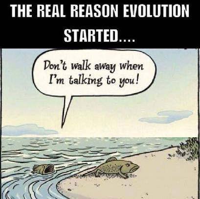 betul_egi's tweet photo. #Evolution
#Evrim https://t.co/Ov808vFduF