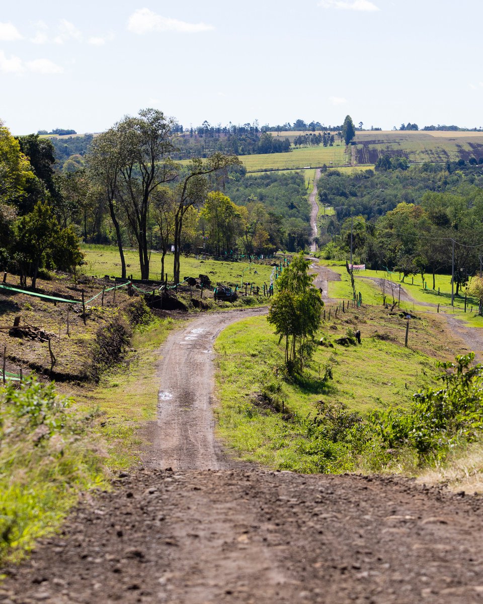 JonArmstrong84's tweet photo. New Rally, New Challenge... Let's get stuck in! 🇵🇾

#WRC | @MSportLtd | @MIRallyAcademy | #uenoRallyDelParaguay https://t.co/B1EPleZJhQ