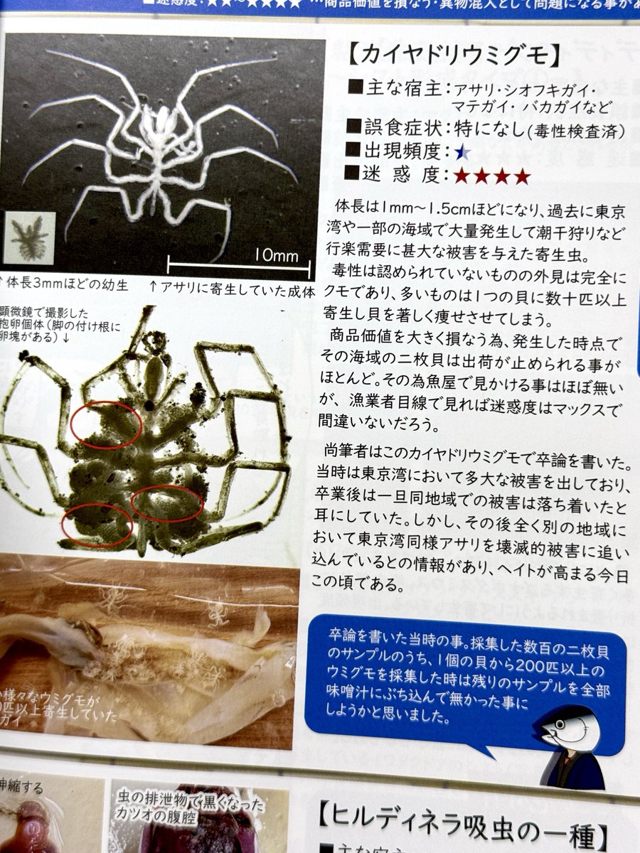 K_theHermit's tweet photo. ここ好き https://t.co/It9ZCqJ4EX