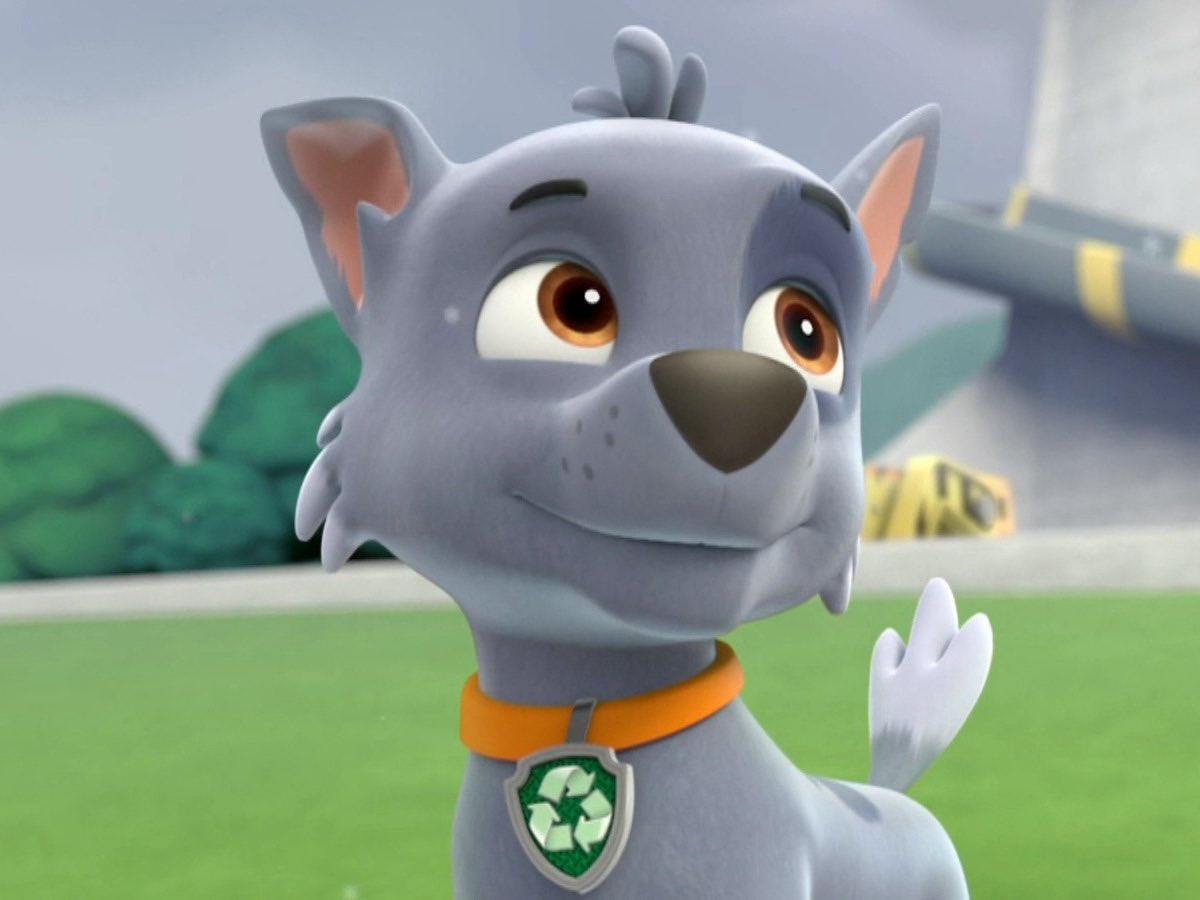 thomasnutt2009's tweet photo. @TheCartoonBase Rocky from paw patrol https://t.co/TQv8xOfPkU