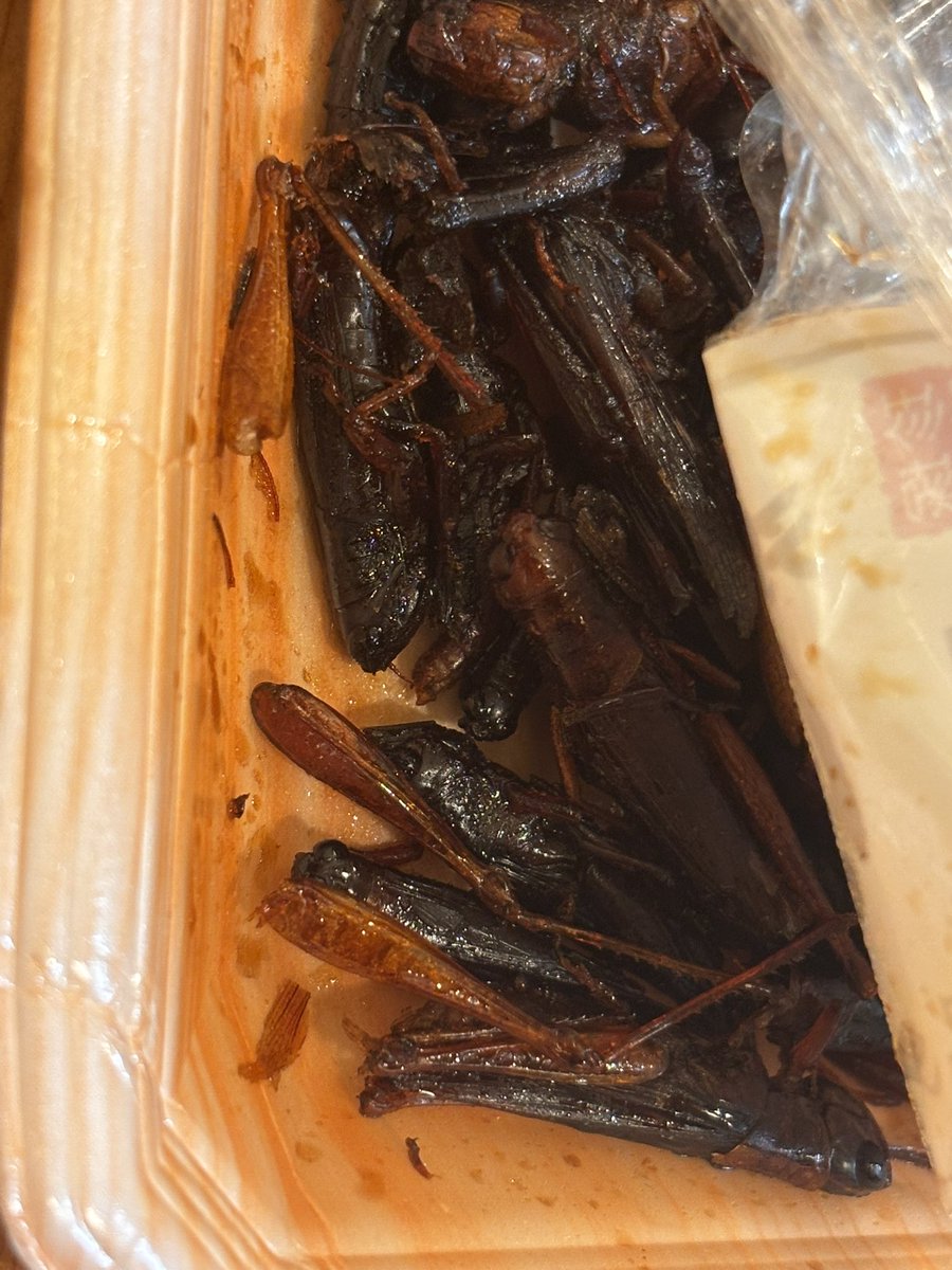 ohe_mang's tweet photo. スゥーーー 3枚目にトラップあり🦗 https://t.co/tc1OlOm8lW