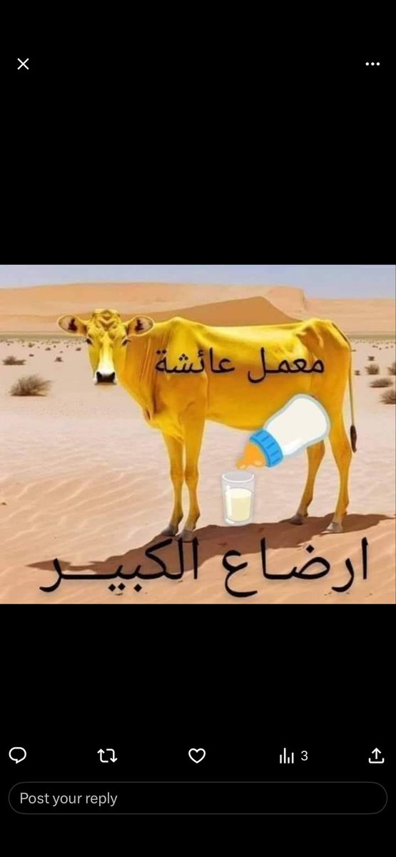 googlemedl's tweet photo. @abozayn81629044 @mosavi457 https://t.co/dT5o814pgs