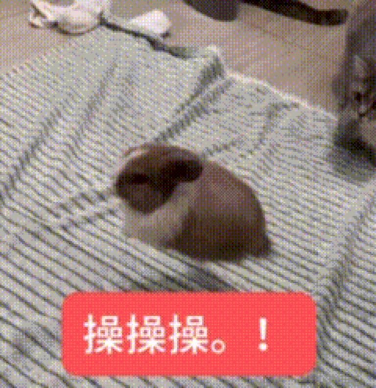 Navmchau's tweet photo. @wudicaomei https://t.co/48jTFug45X