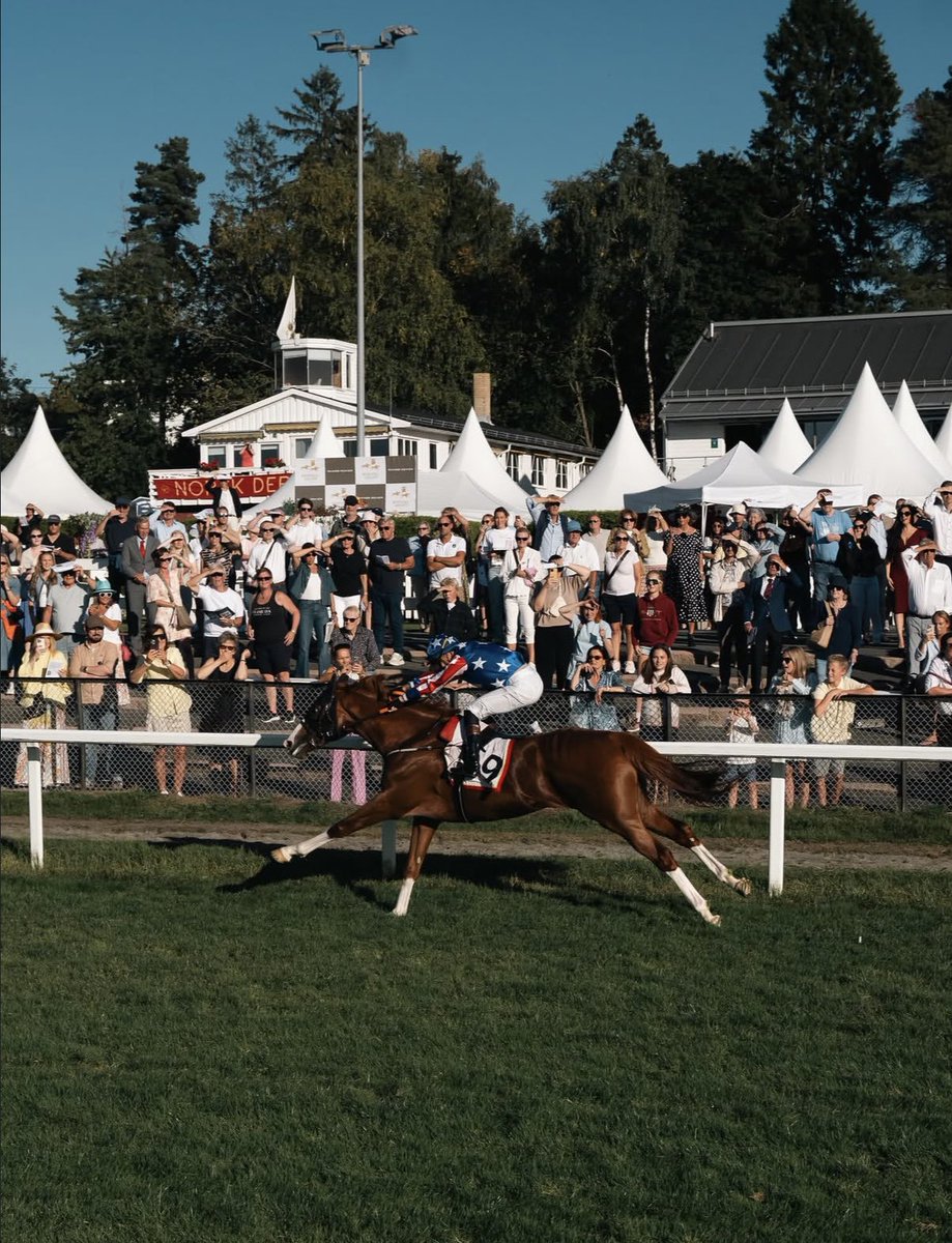 byerleystuduk's tweet photo. 🥇 𝗚𝗿𝗼𝘂𝗽 𝟯 𝘄𝗶𝗻 𝗳𝗼𝗿 𝗪𝗮𝗿 𝗦𝗼𝗰𝗸𝘀!

Powering home to claim the Marit Sveaas' Minnelop Group 3 at Øvrevoll by 4️⃣ lengths, this son of Kameko was bred, foaled, raised, grazed and sold by us as a foal.

🎓 ConGRADulations to all involved! https://t.co/PgRl53Y2UM