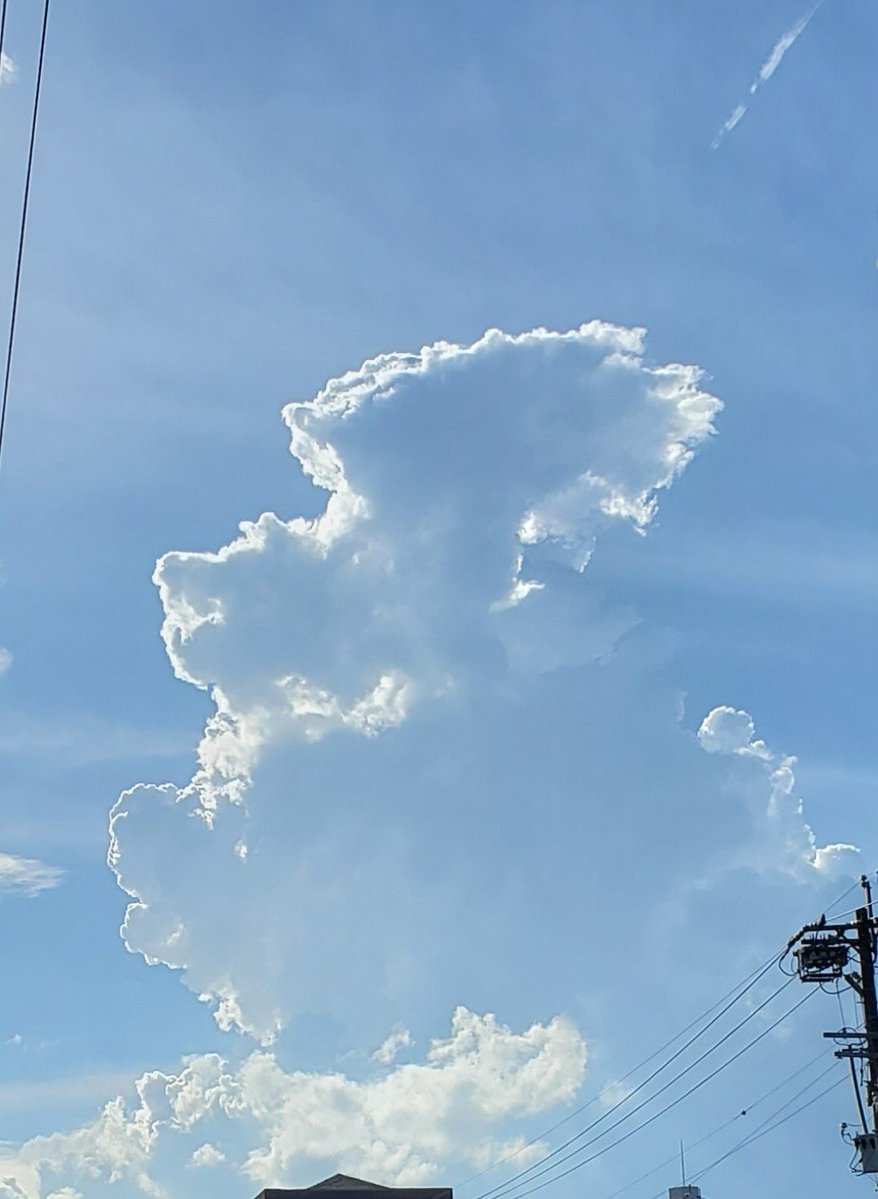 K_wings_K's tweet photo. 生き物みたいな入道雲 https://t.co/oZPdI8InfH