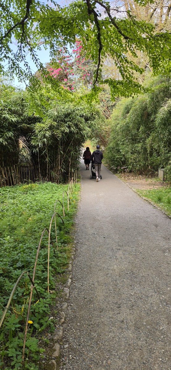ParentingAbroad's tweet photo. 🇿🇼 Moving to the diaspora as a parent is a bigger challenge than most people expect.

Back home, raising children has a lot of community support. Family, neighbours and people around you step in almost naturally.

Here’s are some of my experiences as a father raising kids abroad….👇🧵