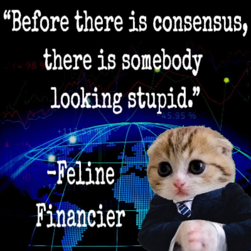 cat_maxxxed's tweet photo. @mikasasolslayer the letscashfun launchpad doesn’t have any true runners yet and I’m choosing to bet on inevitable repricing on top coins like $fefi https://t.co/0Xh5Xx38q6