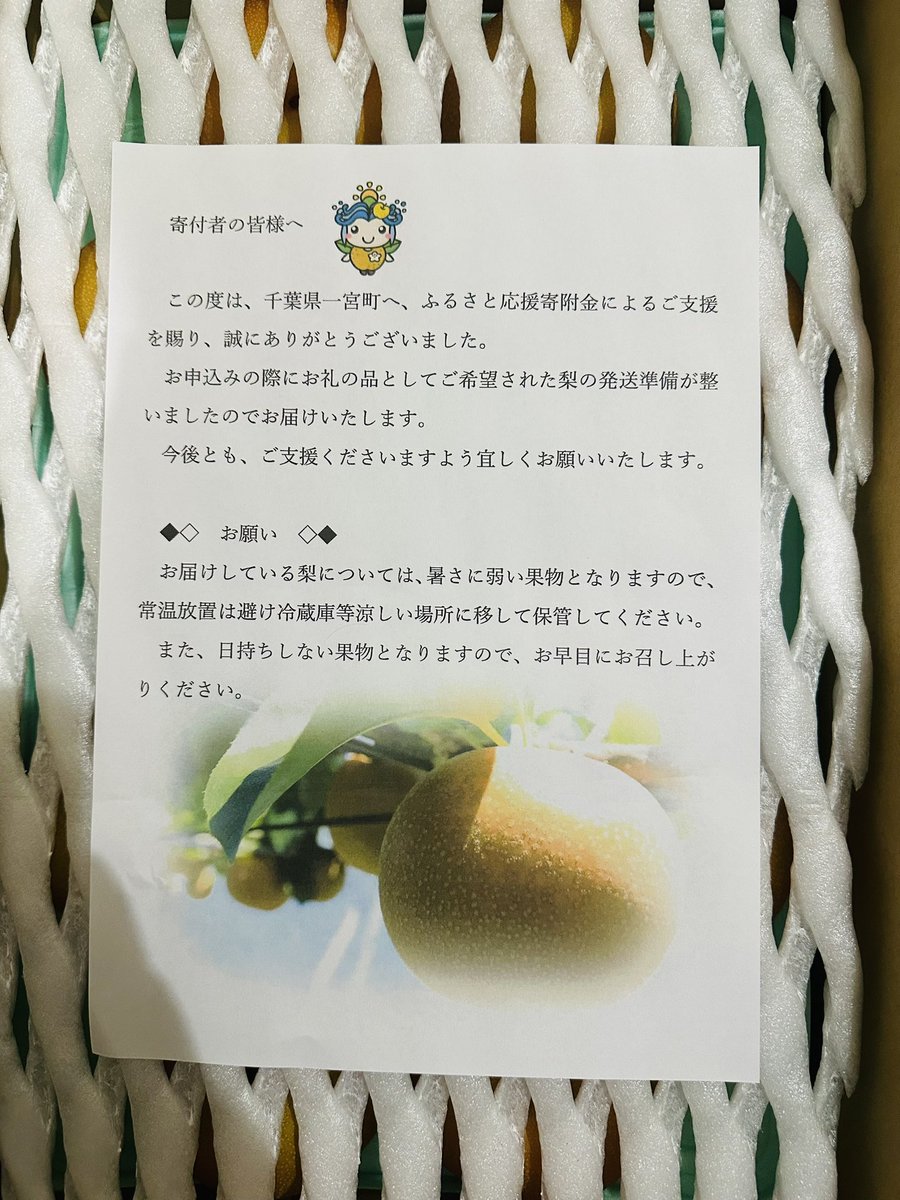 hase01234's tweet photo. ハセさん、梨大好きなので毎年ふるさと納税の返礼品で梨は絶対受けとるようにしてる。
寄付先は毎年変えているけど今年は
千葉県一宮町の梨🍐
美味しそう😋

＃千葉県一宮町 https://t.co/bzt2QbXznO