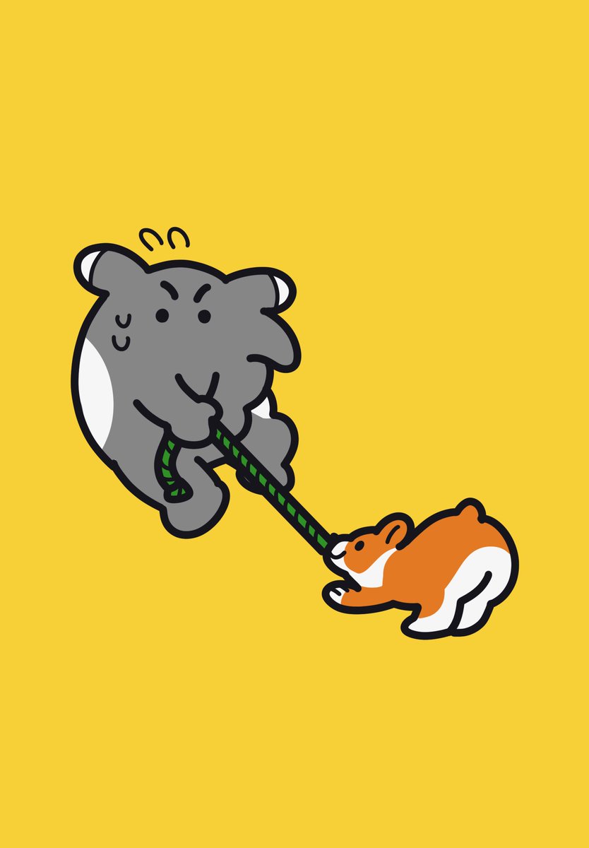 kimabaku's tweet photo. 愛しい存在
#世界犬の日 https://t.co/wBXLpEU5Dy