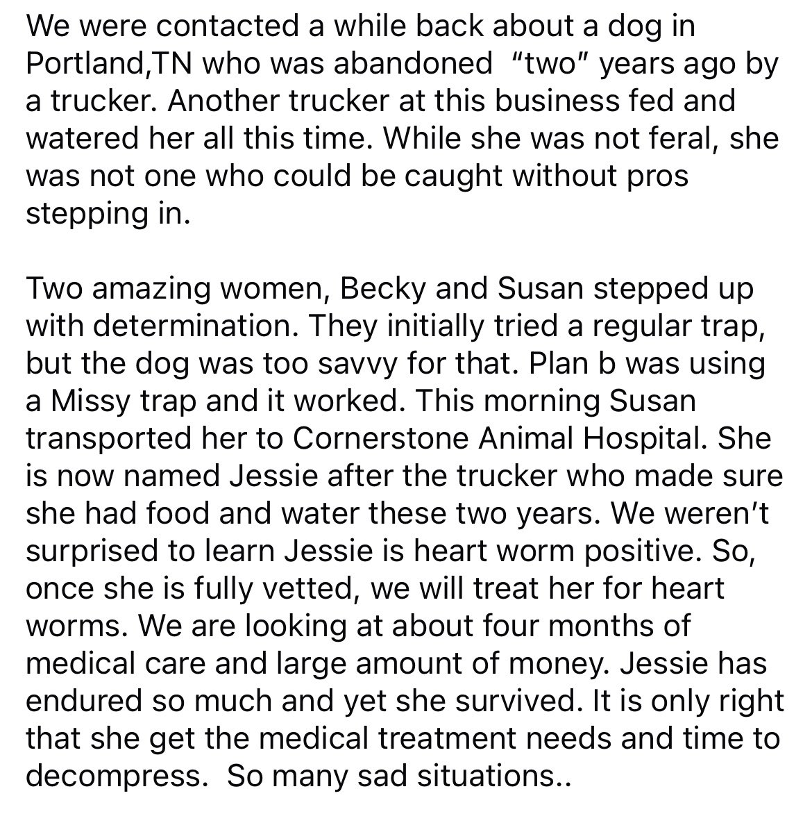 TNProverbs1210's tweet photo. Meet Jessie and read her story in pics. We know we are preaching to the choir but dumping animals is illegal. We ish everyone who does that would be found and prosecuted. 
All donations are appreciated as always. 

https://t.co/6lux2yBUhd https://t.co/dpIG7QBxSv